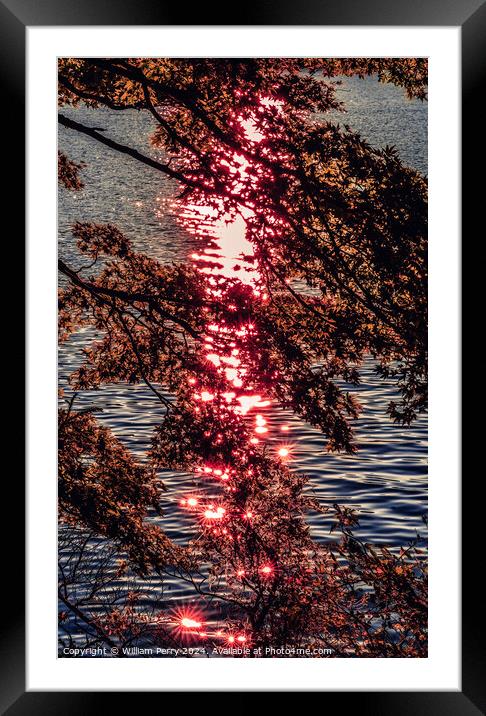 Colorful Red Lake Ashiniko Water Reflection Abstract Hakone Japan Framed Mounted Print by William Perry