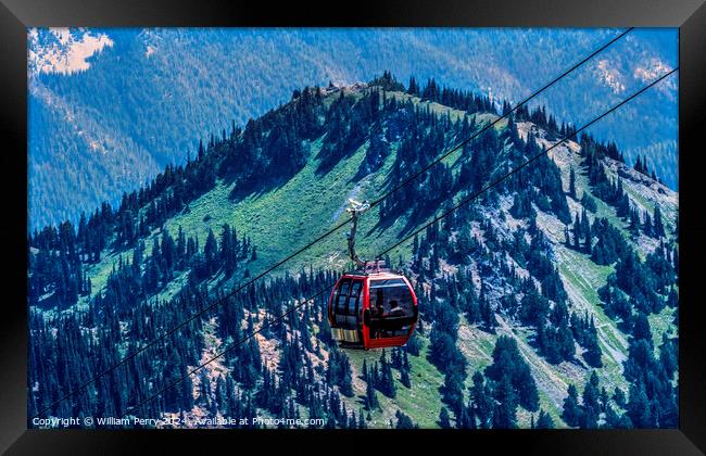 Red Gondola Green Mountains Crystal Mountain Washington Framed Print by William Perry