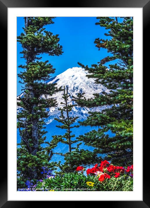 Colorful Flowers Mount Rainier Crystal Mountain Lookout Pierce C Framed Mounted Print by William Perry