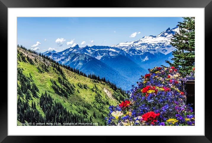 Colorful Flowers Mount Rainier Crystal Mountain Lookout Washingt Framed Mounted Print by William Perry