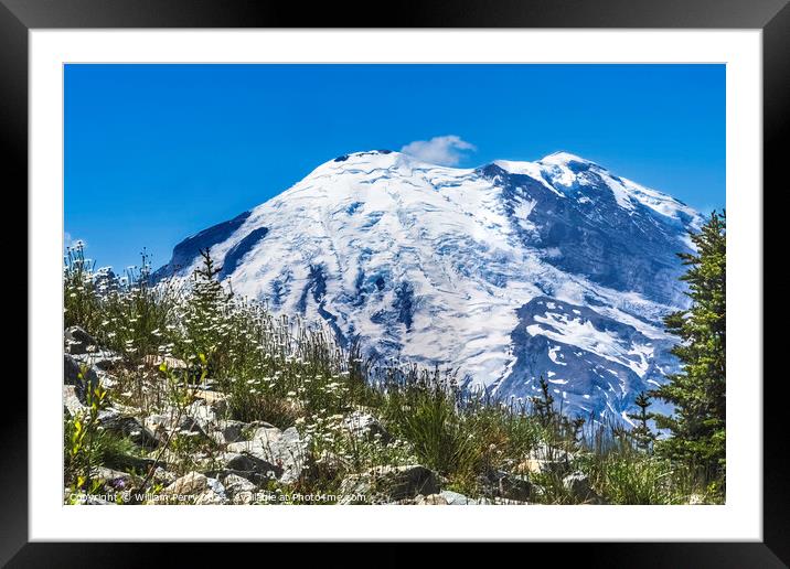 Colorful White Flowers Mount Rainier Crystal Mountain Lookout Wa Framed Mounted Print by William Perry
