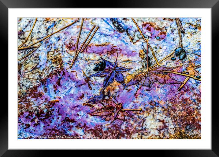 Colorful Stone Walkway Fall Leaves Kinkaku-Ji Temple Kyoto Japan Framed Mounted Print by William Perry