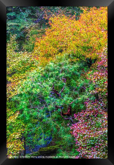 Colorful Fall Leaves Tofuku-Ji Zen Buddhist Temple Kyoto Japan Framed Print by William Perry