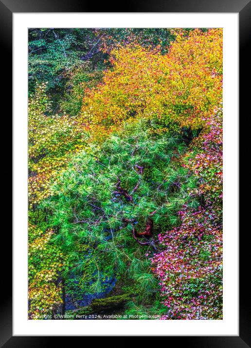Colorful Fall Leaves Tofuku-Ji Zen Buddhist Temple Kyoto Japan Framed Mounted Print by William Perry
