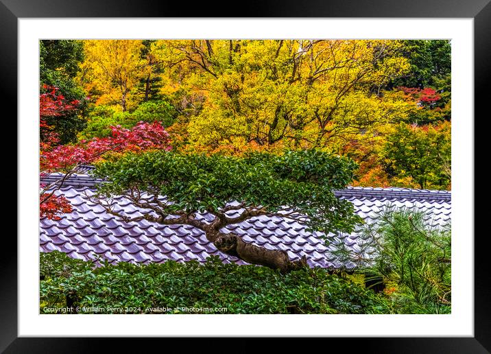 Colorful Tree Fall Leaves Tofuku-Ji Zen Buddhist Temple Kyoto Ja Framed Mounted Print by William Perry