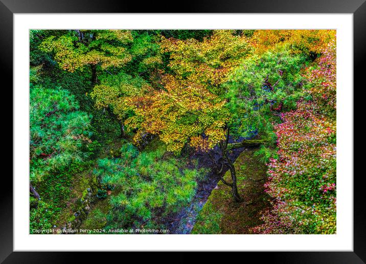 Colorful Trees Fall Leaves Tofuku-Ji Zen Buddhist Temple Kyoto J Framed Mounted Print by William Perry