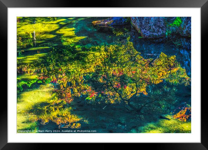 Garden Reflection Ginkakuji Silver Pavilion Temple Kyoto Japan Framed Mounted Print by William Perry