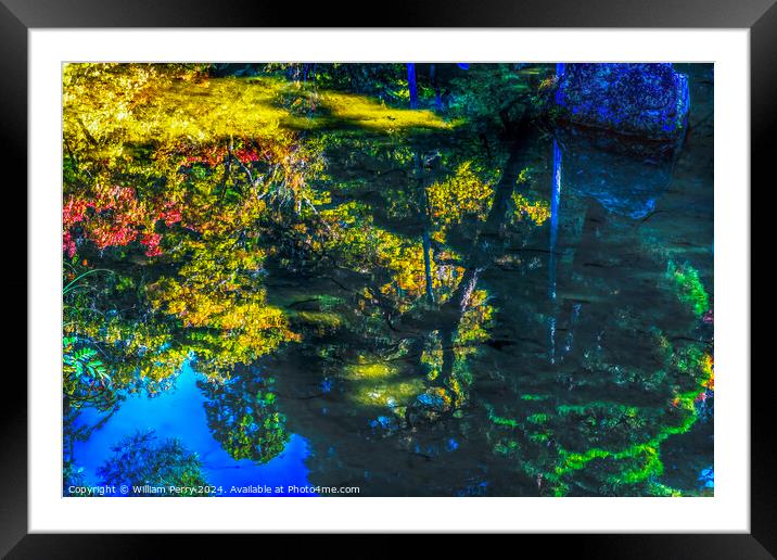 Abstract Fall Leaves Ginkakuji Silver Temple Kyoto Japan Framed Mounted Print by William Perry