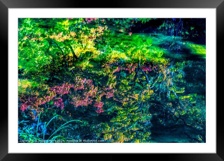 Fall Leaves Garden Abstract Ginkakuji Silver Temple Kyoto Japan Framed Mounted Print by William Perry