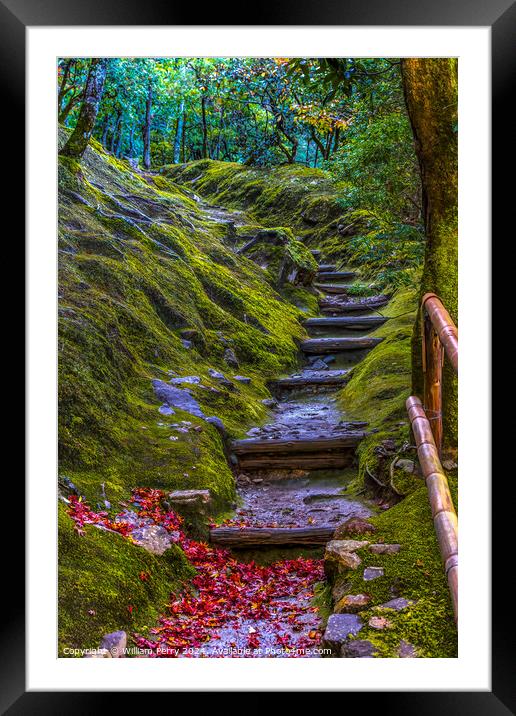 Colorful Fall Leaves Garden Paty Ginkakuji Silver Temple Kyoto J Framed Mounted Print by William Perry