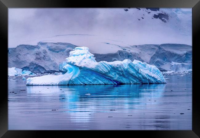 Blue Iceberg Paradise Bay Antarctica Framed Print by William Perry