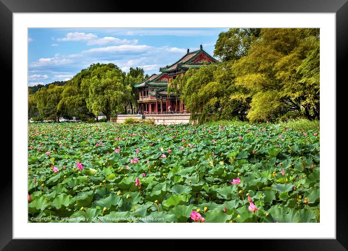Lotus Garden Summer Palace Park Beijing China Framed Mounted Print by William Perry