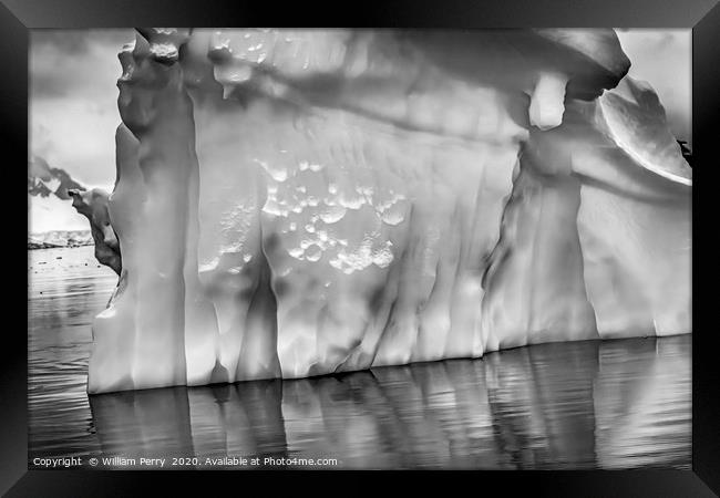 Black White Iceberg Reflection Paradise Bay Antart Framed Print by William Perry