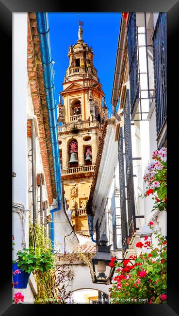 Flower Street Torre del Aliminar Tower Mezquita Co Framed Print by William Perry