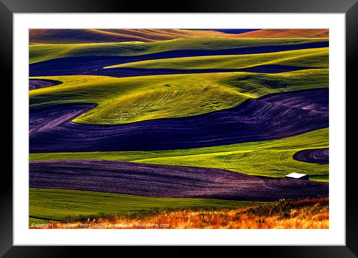 Green Wheat Fields Black Fallow Land Patterns Wash Framed Mounted Print by William Perry