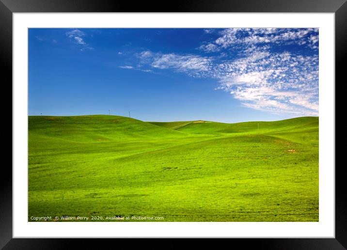 Grass Blue Skies Palouse Washington State Framed Mounted Print by William Perry