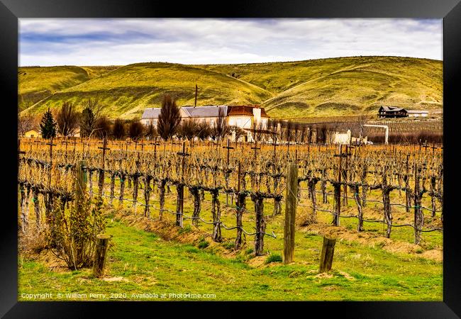 Winery Winter Vineyards Red Mountain Benton City W Framed Print by William Perry