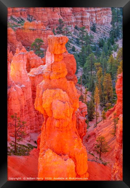 Thor's Hammer Hoodoo Sunset Point Bryce Canyon Nat Framed Print by William Perry