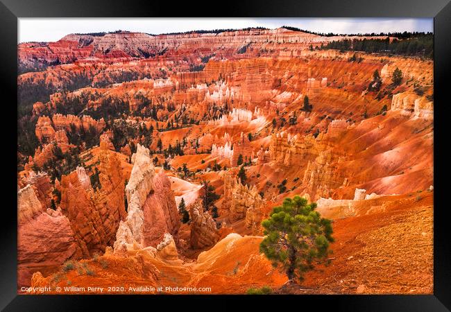 Amphitheater Hoodoos Bryce Canyon National Park Ut Framed Print by William Perry