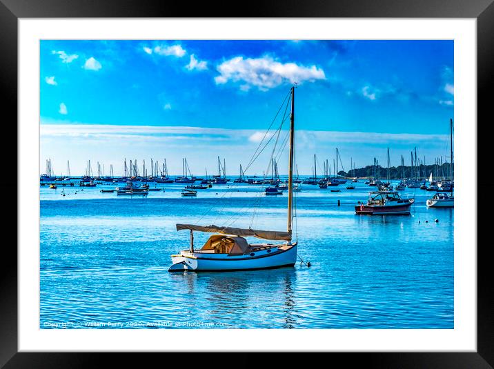 Catboat Sailboats Yachts Padanaram Harbor with Boats Dartmouth Massachusetts Framed Mounted Print by William Perry