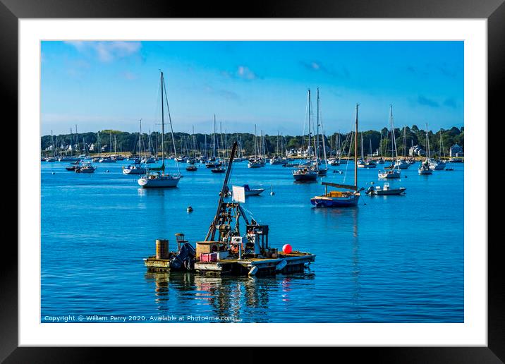 Mooring Raft Sailboats Padanaram Harbor Dartmouth Massachusetts Framed Mounted Print by William Perry
