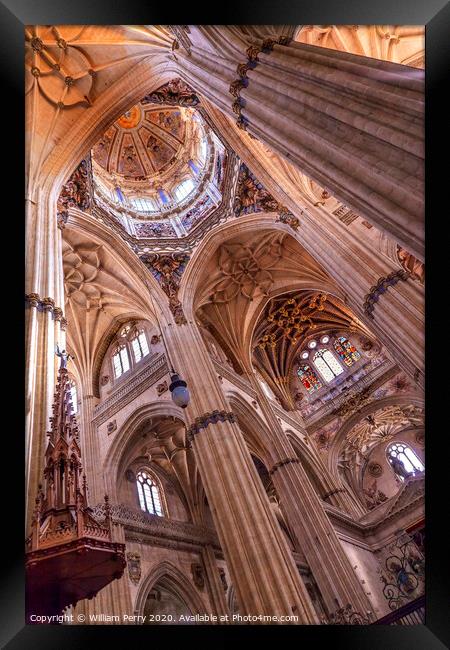 Stone Columns Statues Dome New Salamanca Cathedral Spain Framed Print by William Perry