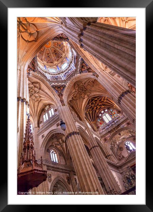 Stone Columns Statues Dome New Salamanca Cathedral Spain Framed Mounted Print by William Perry