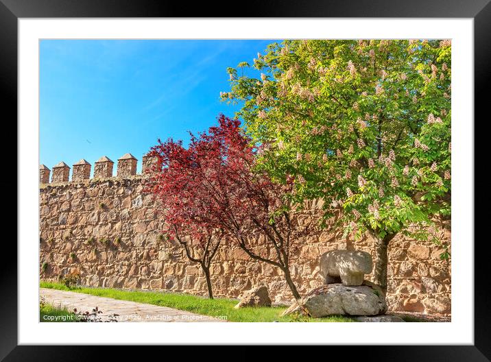 Ancient Bull Statue Castle Walls Swallows Avila Castile Spain Framed Mounted Print by William Perry