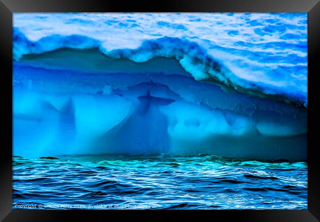 Floating Blue Green Iceberg Closeup Water Antarctica Framed Print by William Perry