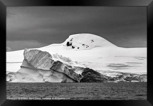 Black and White Floating Iceberg Charlotte Harbor Anarctica Framed Print by William Perry