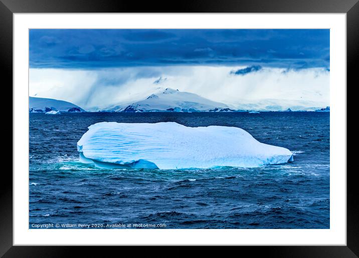 Floating Blue Iceberg Charlotte Bay Antarctica Framed Mounted Print by William Perry