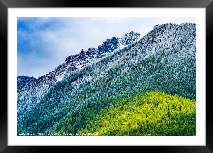 Mount Si Snow Evergreen North Bend Washington Framed Mounted Print by William Perry