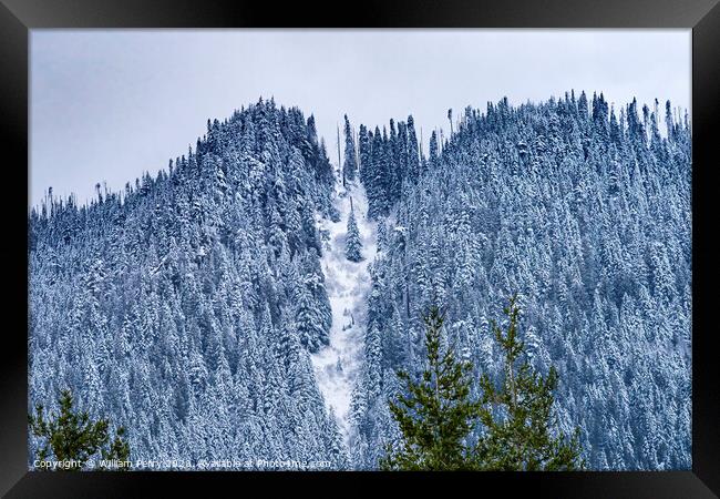 Rattlesnake Mountain Snow Evergreen North Bend Washington Framed Print by William Perry