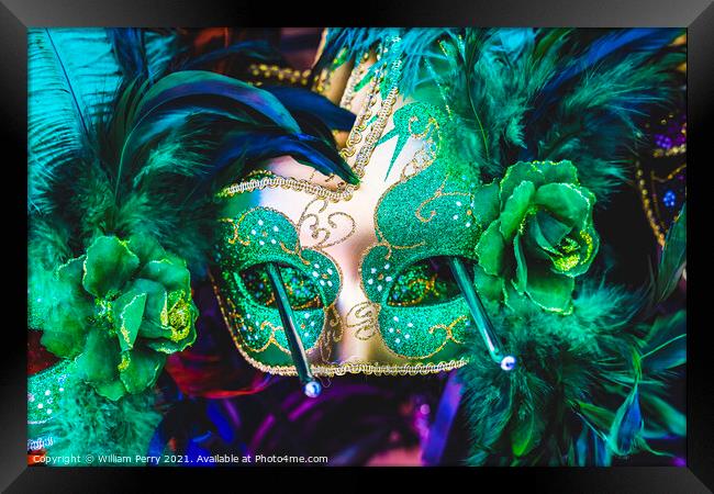 Colorful Green Mask Feathers Mardi Gras New Orleans Louisiana Framed Print by William Perry