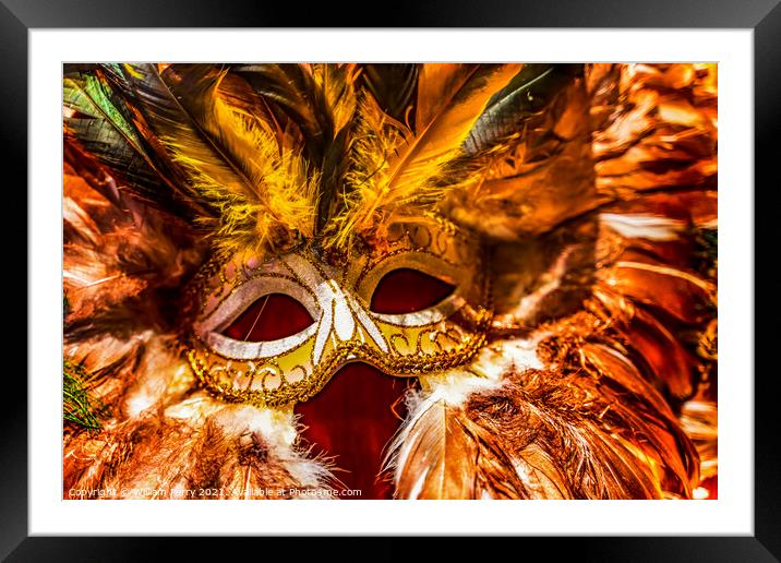 Colorful Orange Yellow Mask Feathers Mardi Gras New Orleans Loui Framed Mounted Print by William Perry