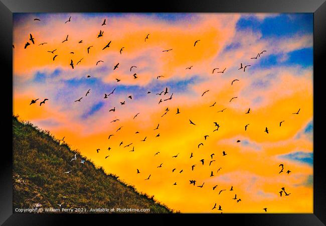 Colorful Sunset Sea Birds Haystack Rock Canon Beach Oregon Framed Print by William Perry