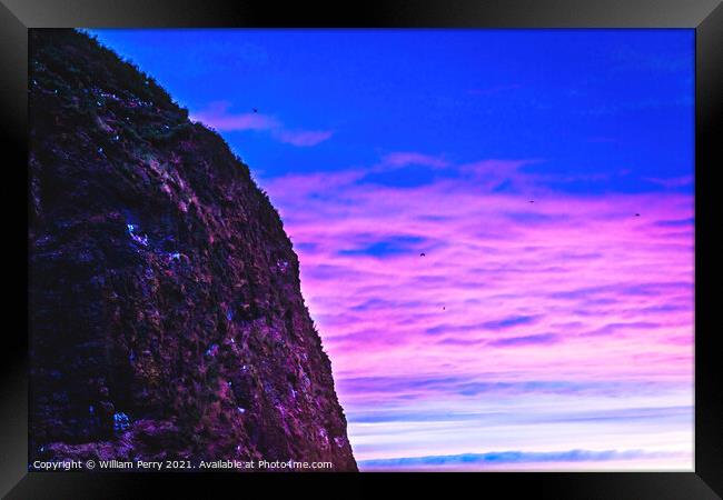 Colorful Sunset Sea Birds Haystack Rock Canon Beach Oregon Framed Print by William Perry