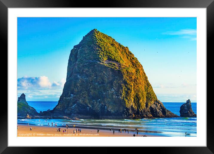 Colorful Sea Birds Haystack Rock Canon Beach Oregon Framed Mounted Print by William Perry