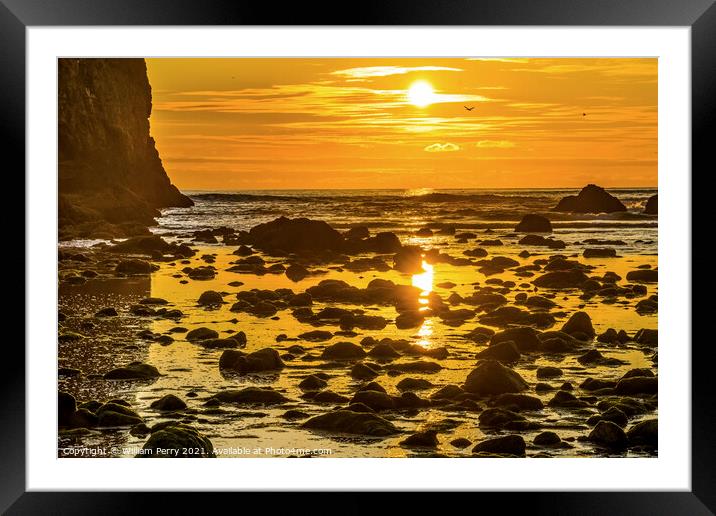 Colorful Yellow Haystack Rock Low Tide Pools Canon Beach Oregon Framed Mounted Print by William Perry