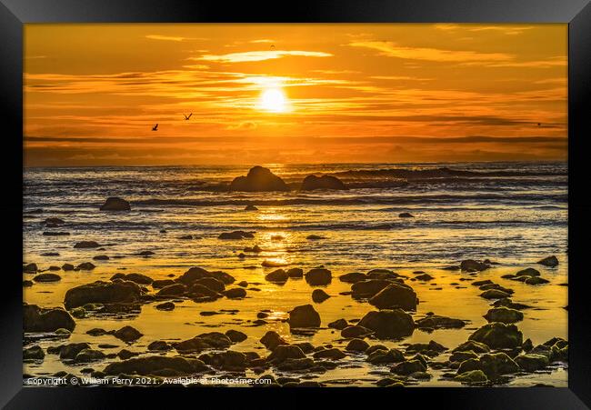 Colorful Yellow Low Tide Pools Canon Beach Oregon Framed Print by William Perry