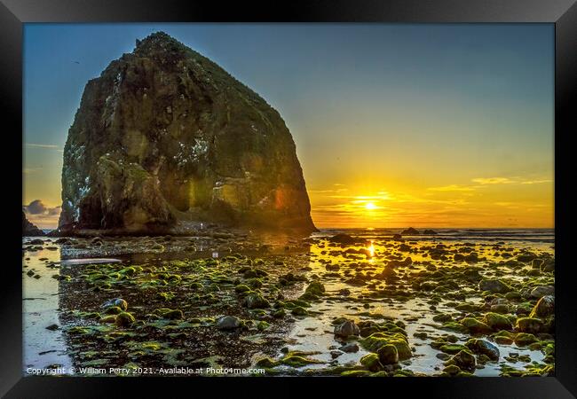 Colorful Yellow Haystack Rock Low Tide Pools Canon Beach Oregon Framed Print by William Perry