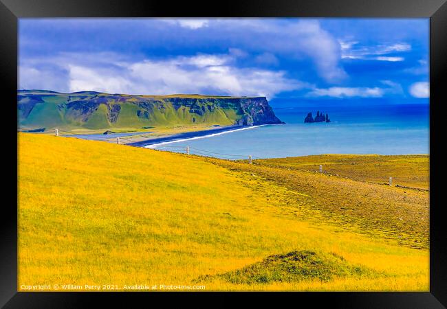 Green Cliff Dyrholaey Park Reynisfjara Black Sand Beach Iceland Framed Print by William Perry