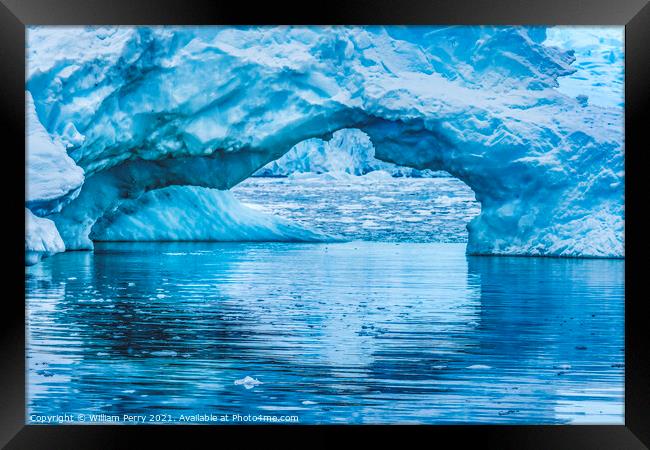 Blue Iceberg Arch Reflection Paradise Bay Antarctica Framed Print by William Perry