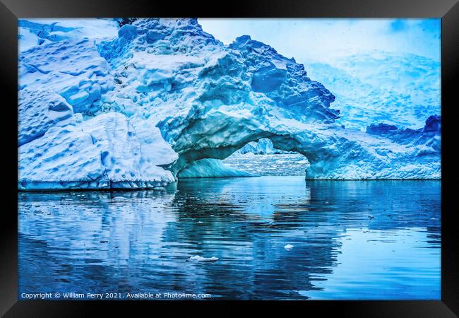 Snowing Blue Iceberg Arch Paradise Bay Antarctica Framed Print by William Perry