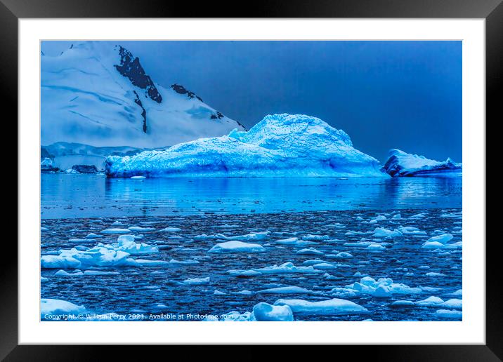 Blue Iceberg Reflection Paradise Bay Skintorp Cove Antarctica Framed Mounted Print by William Perry