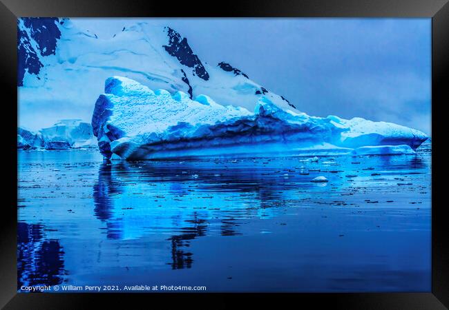 Floating Blue Iceberg Reflection Paradise Bay Antarctica Framed Print by William Perry