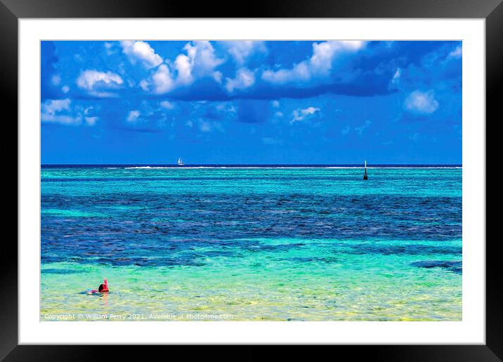 Snorkeling Swimming Colorful Blue Water Moorea Tahiti Framed Mounted Print by William Perry