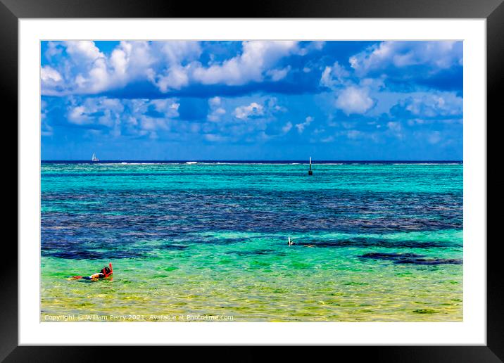 Snorkeling Swimming Colorful Blue Water Moorea Tahiti Framed Mounted Print by William Perry