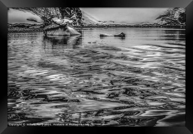 Black White Glacier Snow Mountains Paradise Bay Skintorp Cove An Framed Print by William Perry