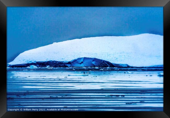 Snowing Floating Blue Iceberg Reflection Paradise Bay Antarctica Framed Print by William Perry